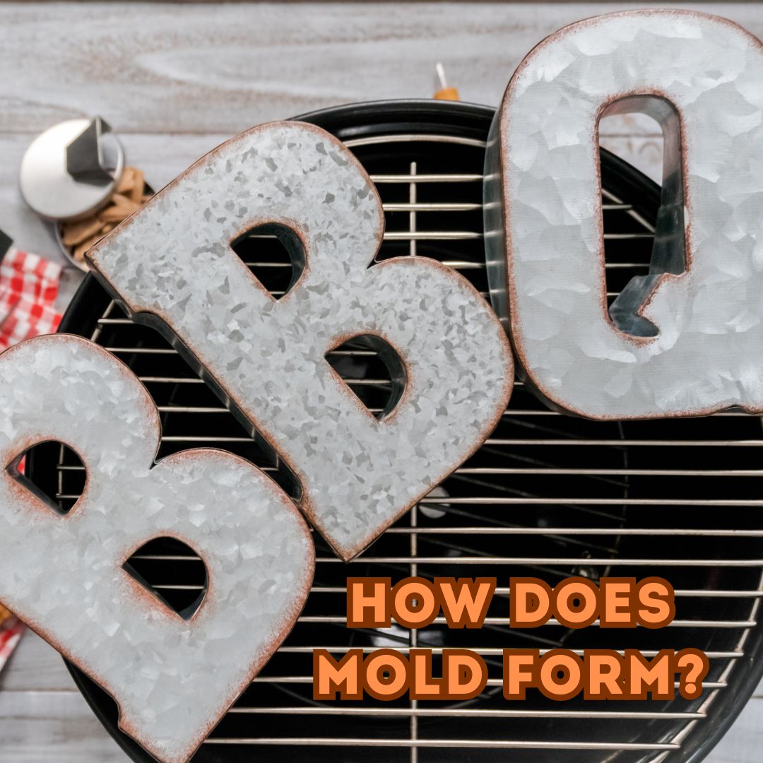 How Does Mold Form on BBQs?