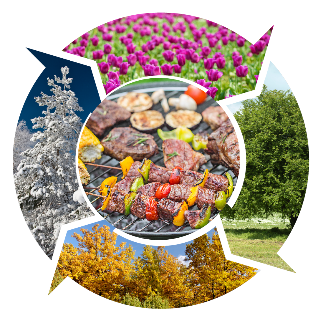 Seasonal BBQ: How BBQ Habits Change with the Seasons